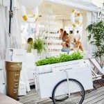 13895138_10210386371683615_3299181042168582236_n